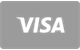 Visa plačilna kartica ikona